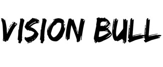 VISION BULL