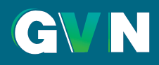 GVN