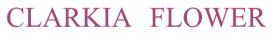 CLARKIAFLOWER