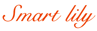 SMARTLILY