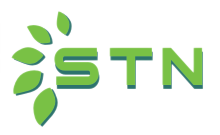 STN