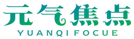 元气焦点