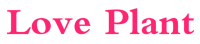 LOVE PLANT