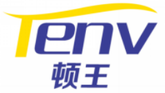 顿王TENV