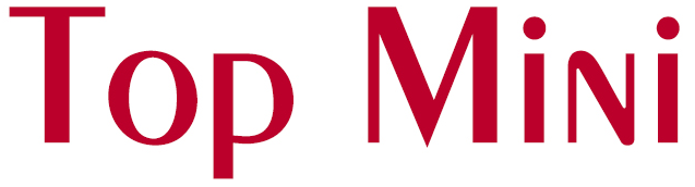 TOP MINI