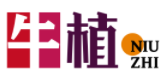 牛植NIUZHI