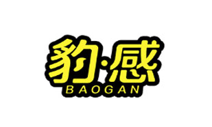 豹感BAOGAN