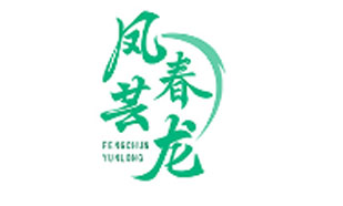 凤春芸龙FENGCHUNYUN  LONG