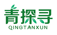 青探寻QINGTANXUN