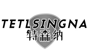 TETLSINGNA 特森纳