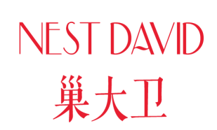 巢大卫NEST DAVID