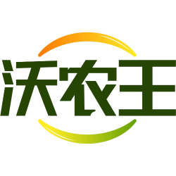 沃农王