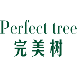 完美树 PERFECT TREE