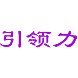 引领力
