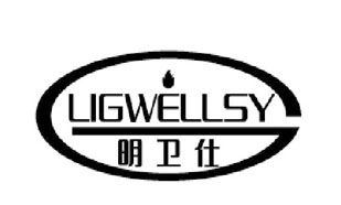 LIGWELLSY 明卫仕